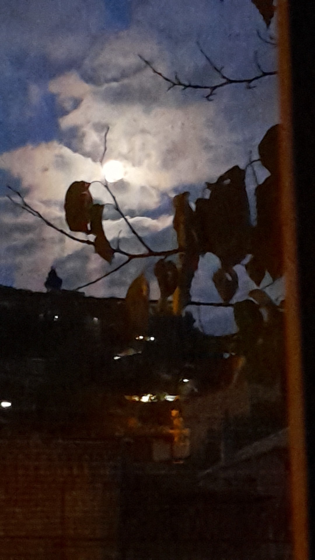 ნოემბრის მთვარე